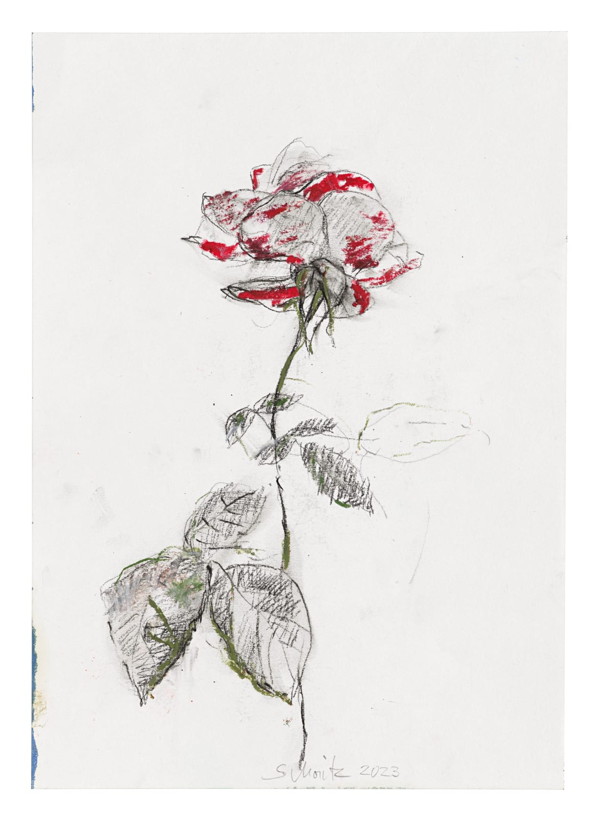 Sabine Moritz, Rose 52, 2023