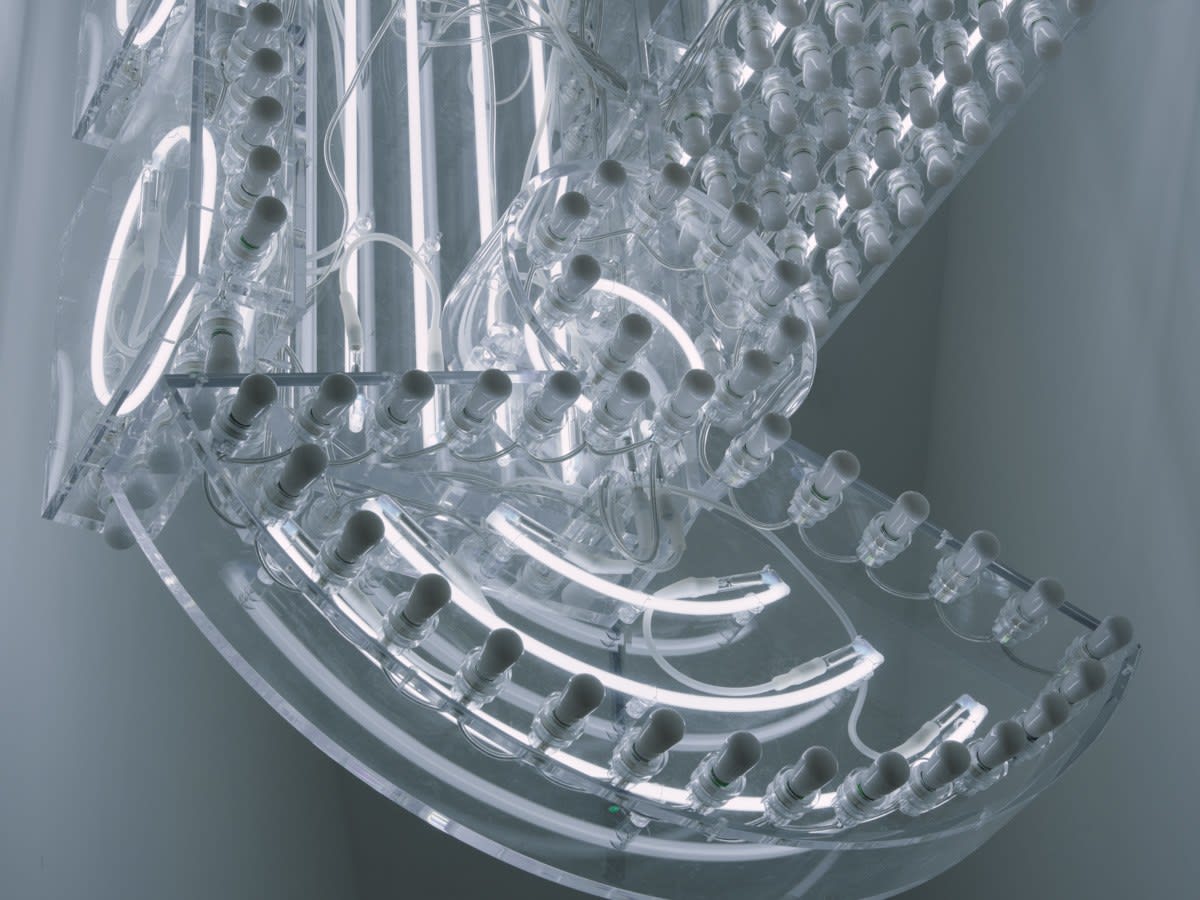 Philippe Parreno, Marquee, 2023