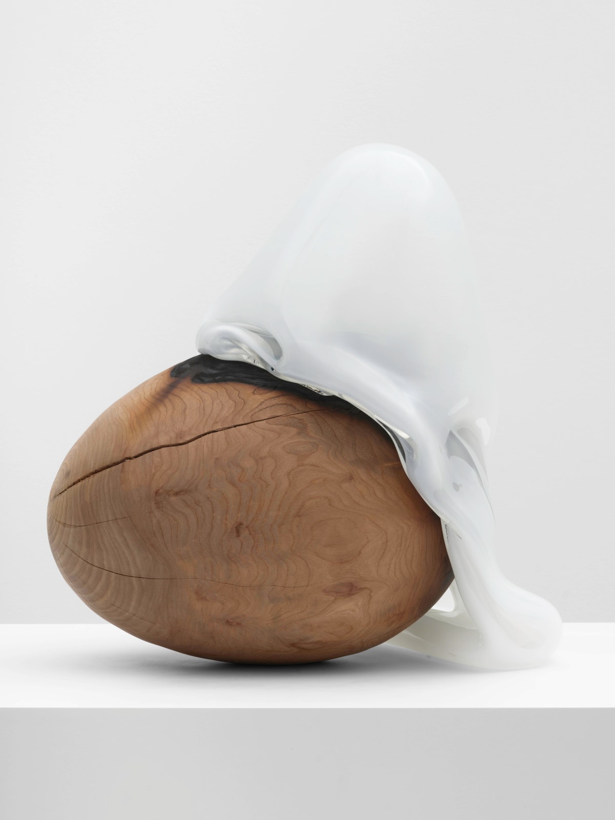 Rachel Rose, Burl Egg 2, 2021