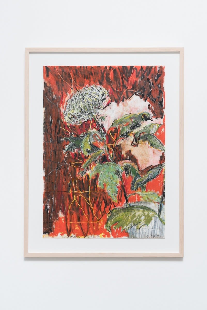 Sabine Moritz, Chrysanthemums in Red, 2015