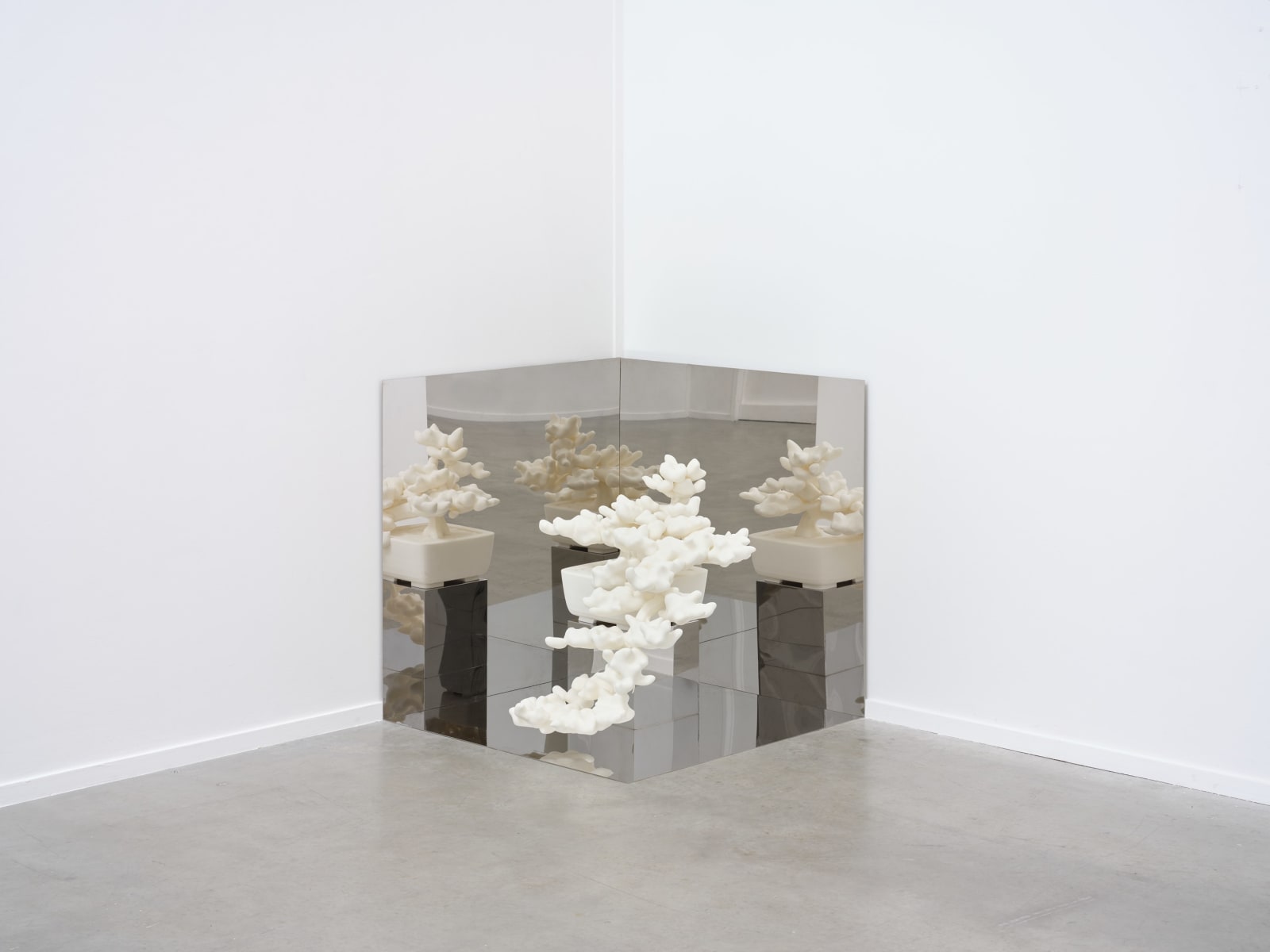 Rirkrit Tiravanija, Untitled 2013 (indexical shadow no.1), 2013-2017