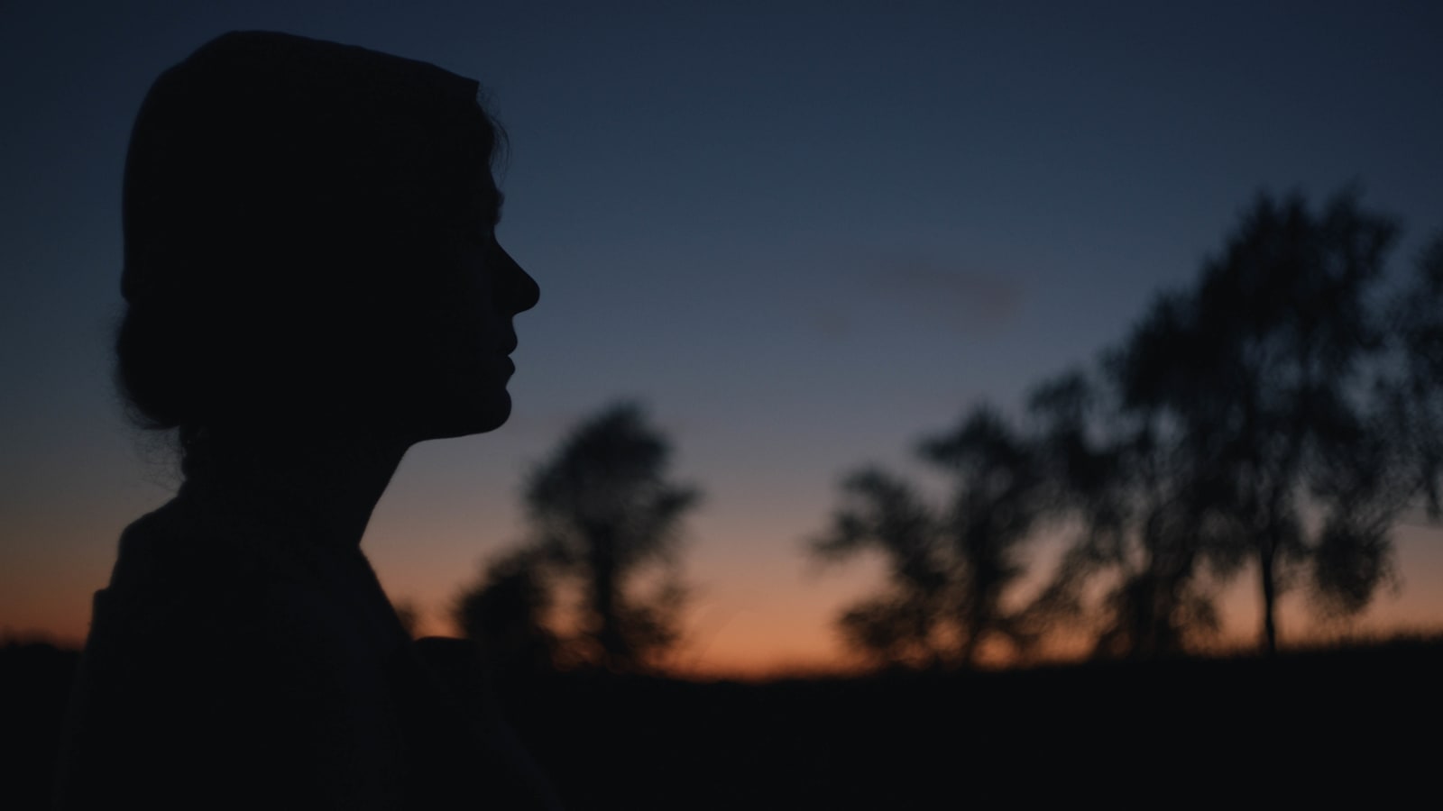 Rachel Rose, Enclosure, 2019