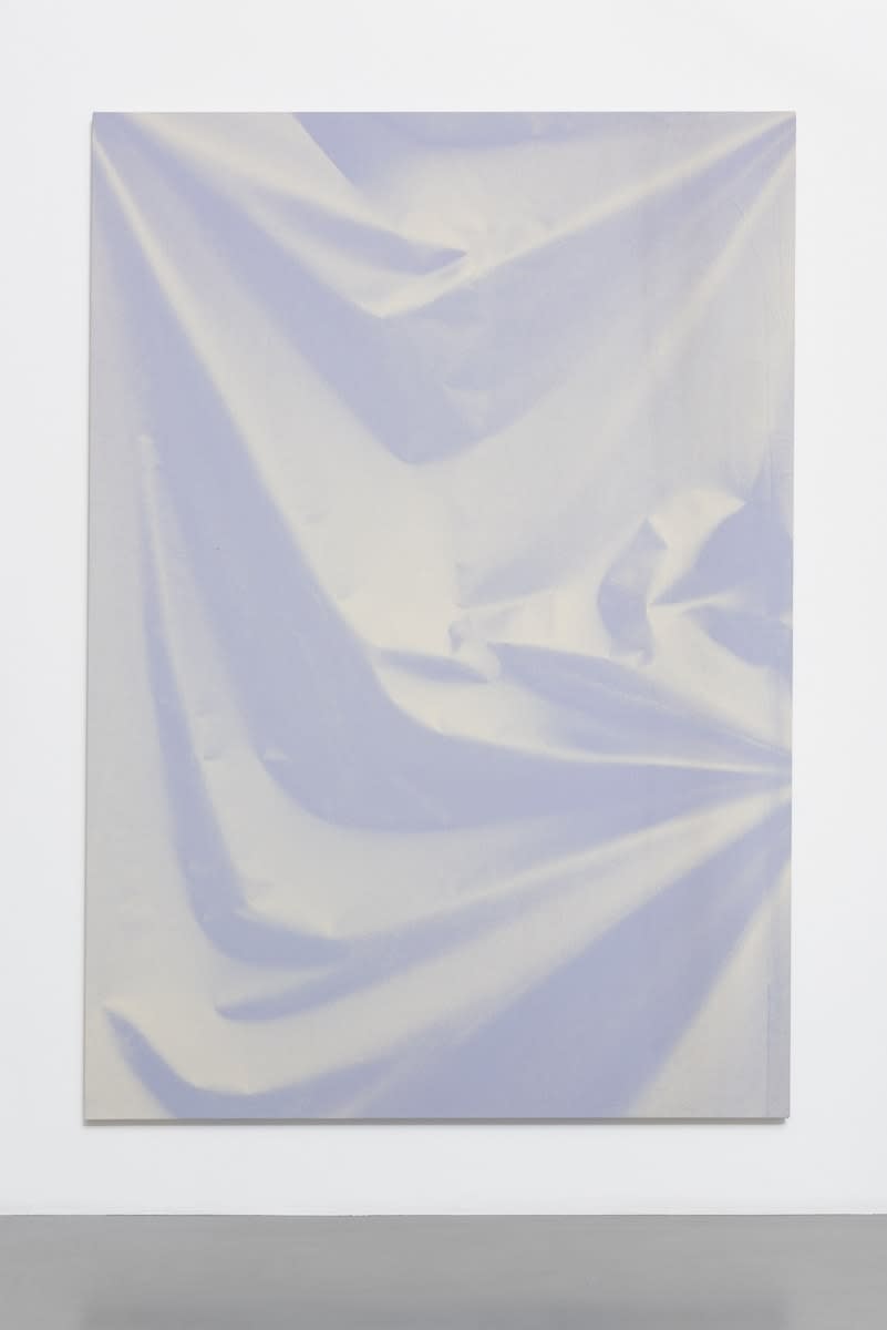 Ulla von Brandenburg, Folds and Branch, 2015