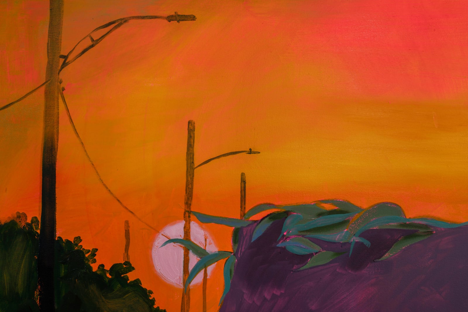 Gisela McDaniel, Sunset over 8 mile, 2022