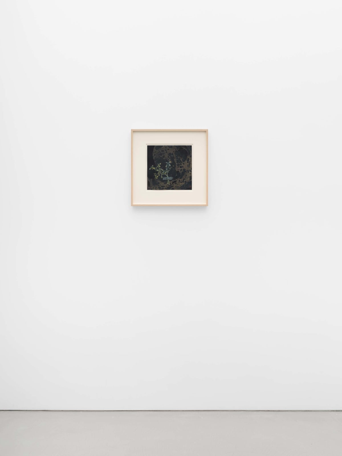 Hayv Kahraman, Barbeen on black, 2024