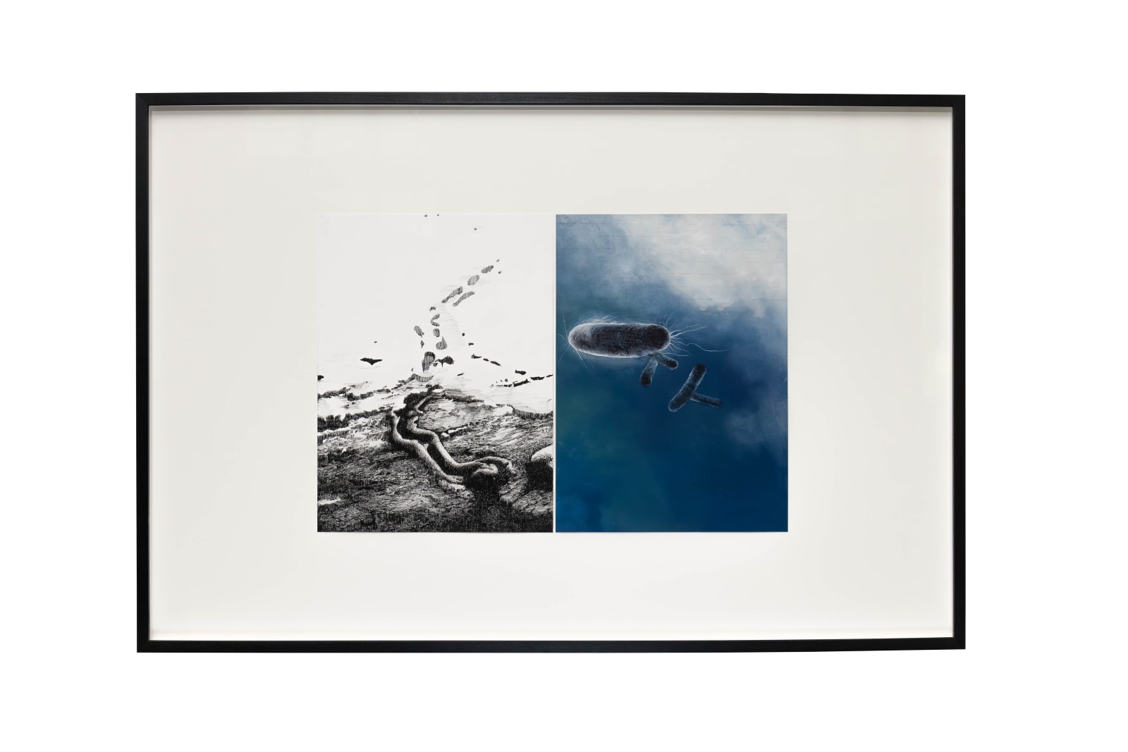 Philippe Parreno, 100 Questions, 50 Lies (A Recital of True Events), 2023