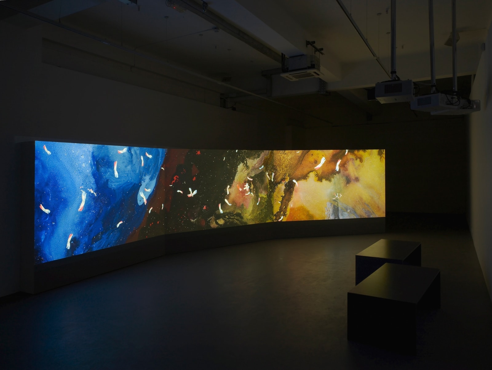 Shahzia Sikander, Parallax, 2013