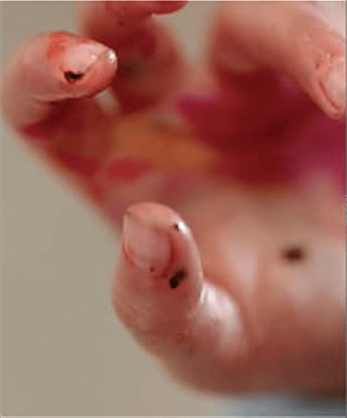 Rachel Rose, 7:00 AM (7:00:23 AM), 2023