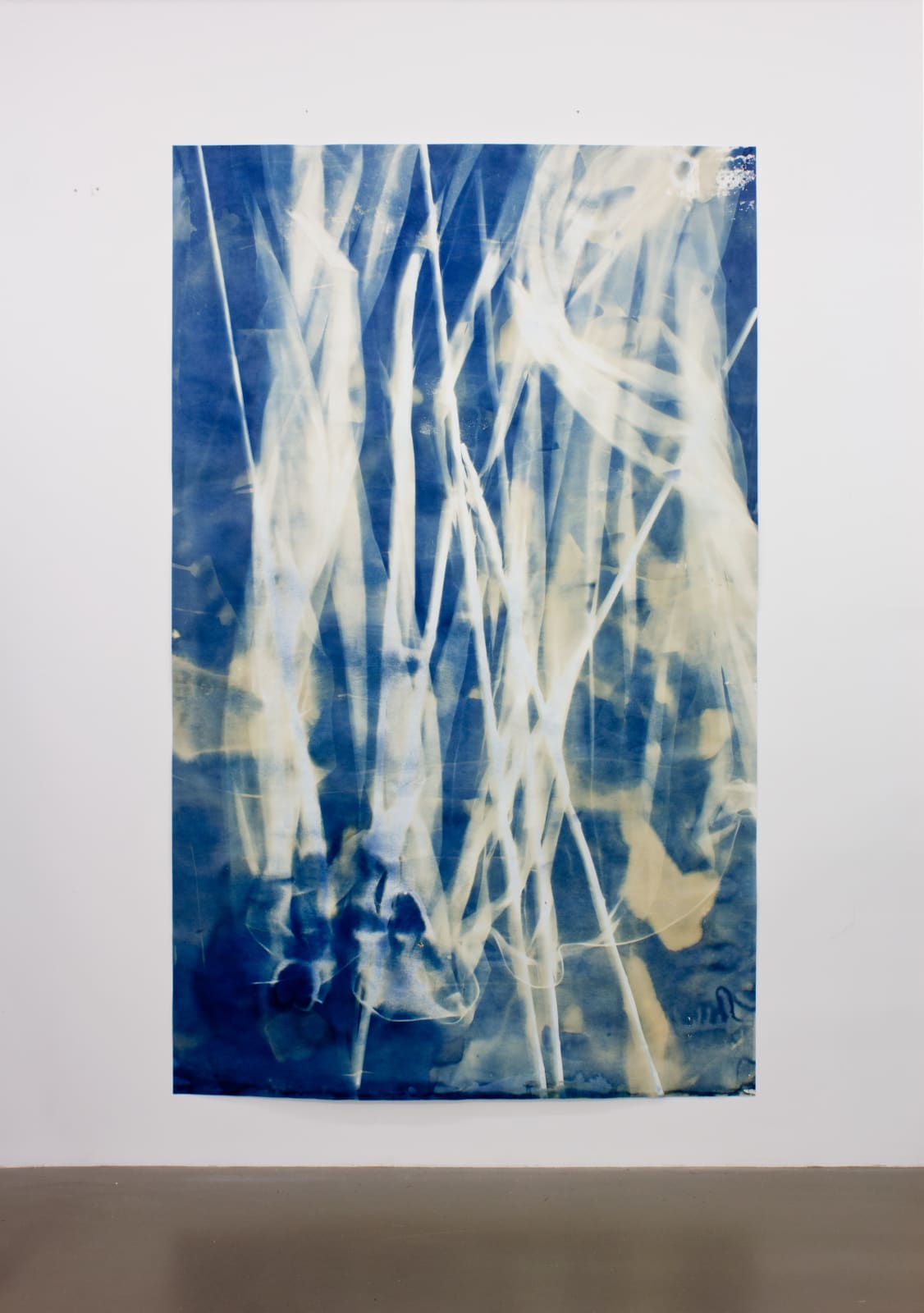 Ulla von Brandenburg, Vorhang Blau 12, Angeln, 2019