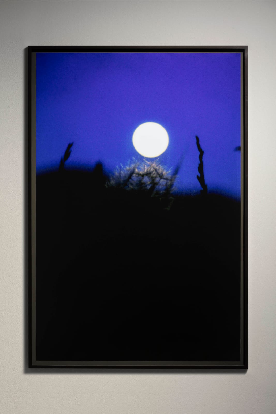 Rachel Rose, North Salem Moon (1993), 2022