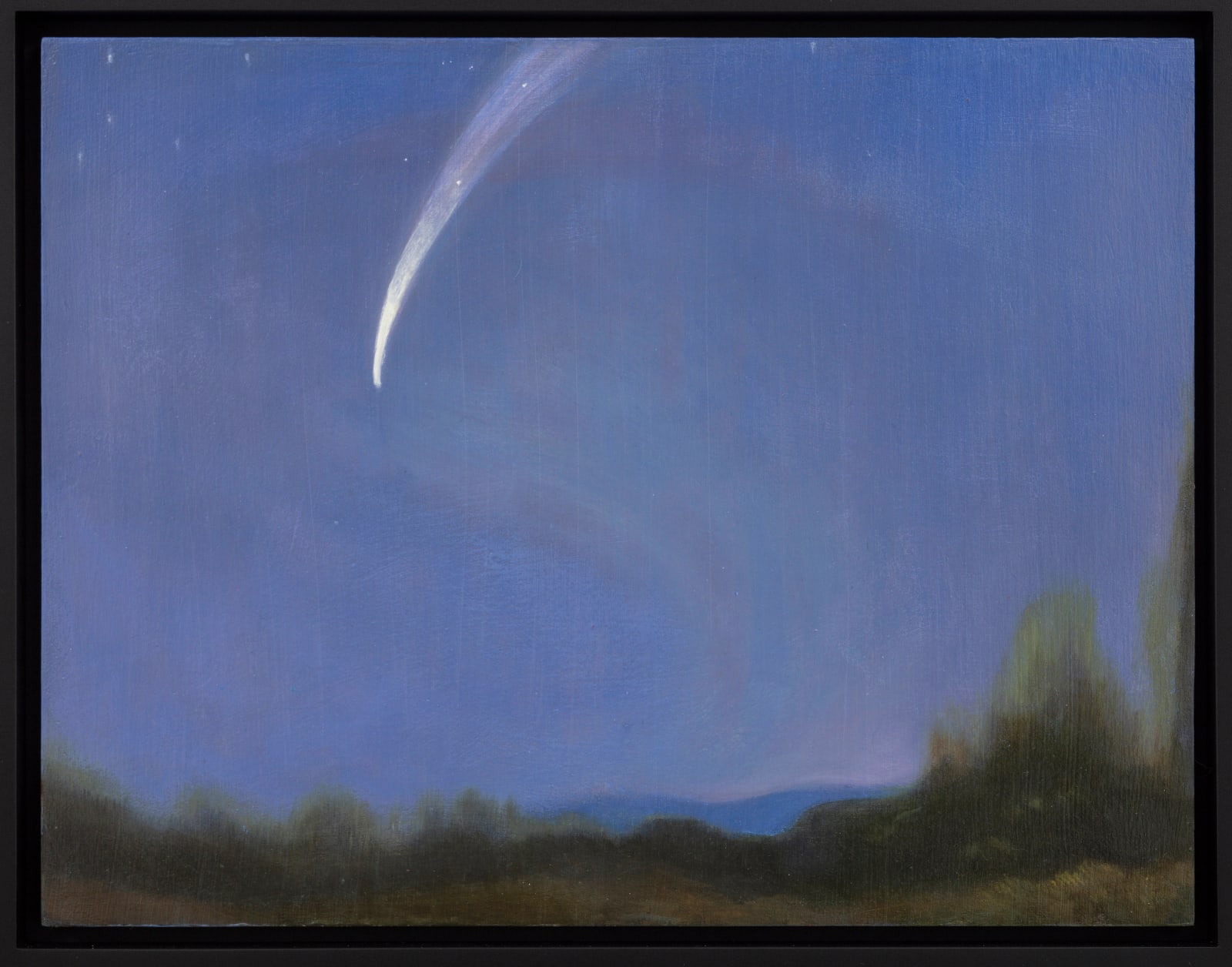 Rachel Rose, Slip (1858), 2025