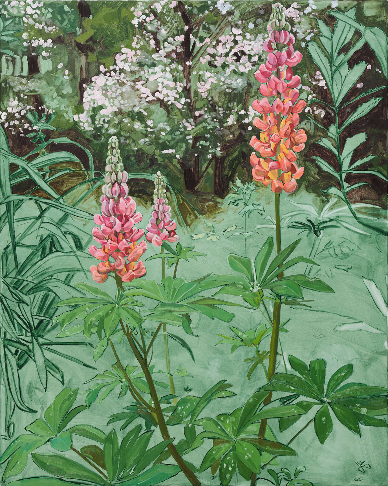 Jordan Casteel, Lupine, 2024
