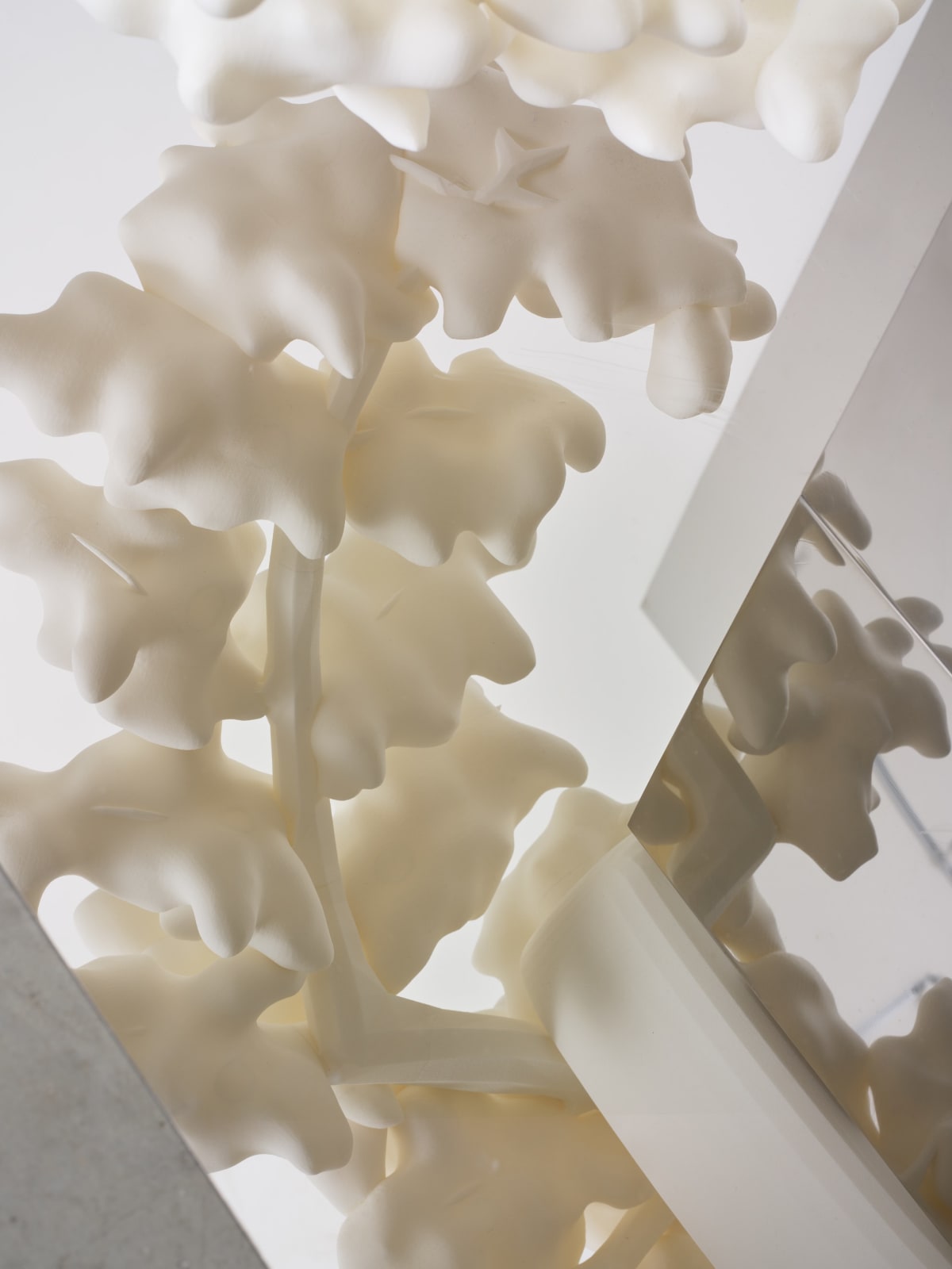 Rirkrit Tiravanija, Untitled 2013 (indexical shadow no.1), 2013-2017