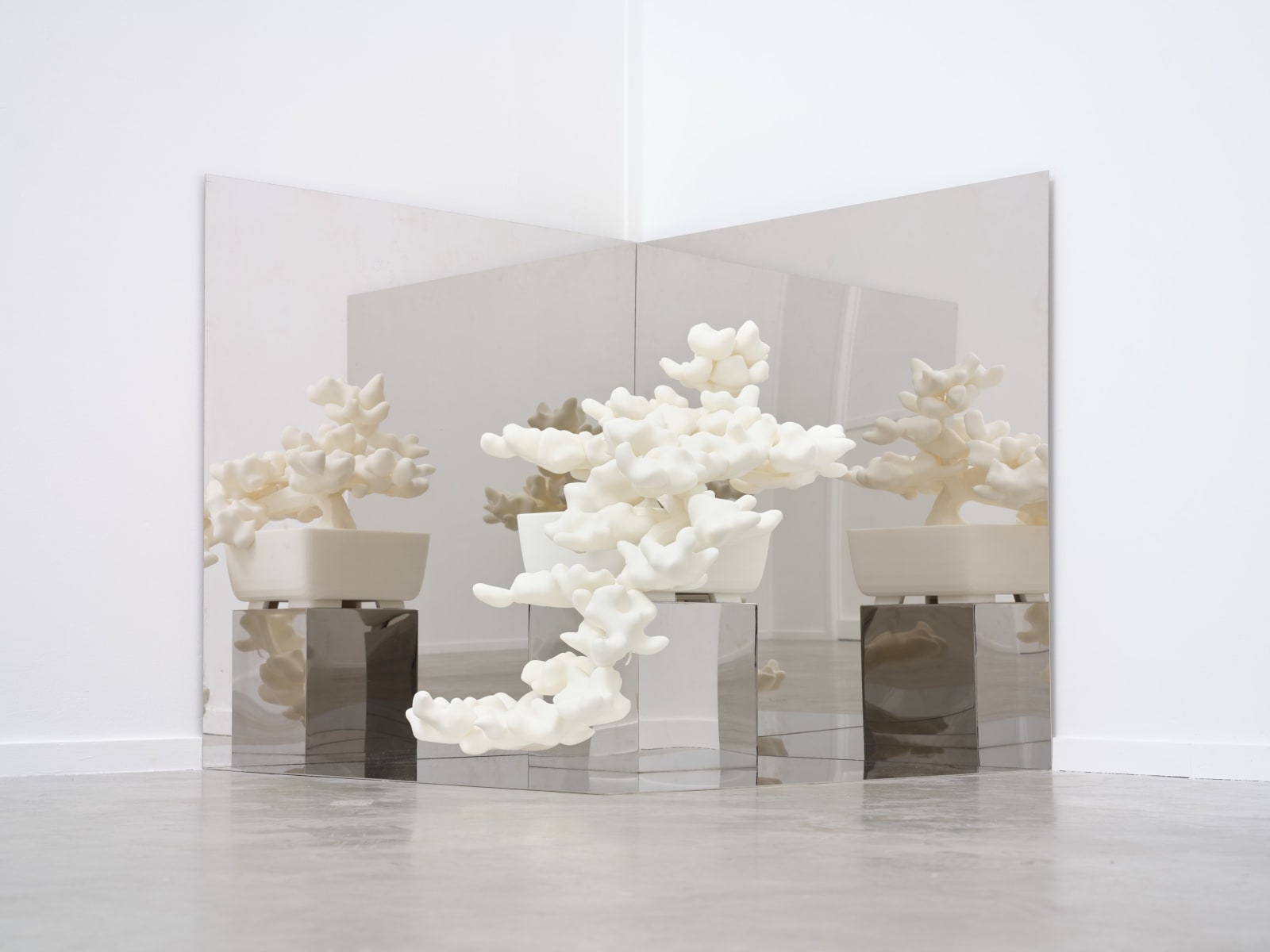 Rirkrit Tiravanija, Untitled 2013 (indexical shadow no.1), 2013-2017