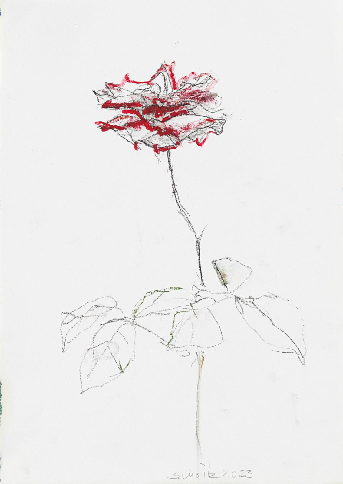 Sabine Moritz, Rose 53, 2023