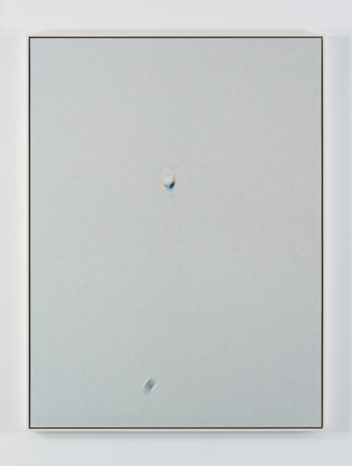 Carissa Rodriguez, Yesterday I Tried to Paint You, 2012