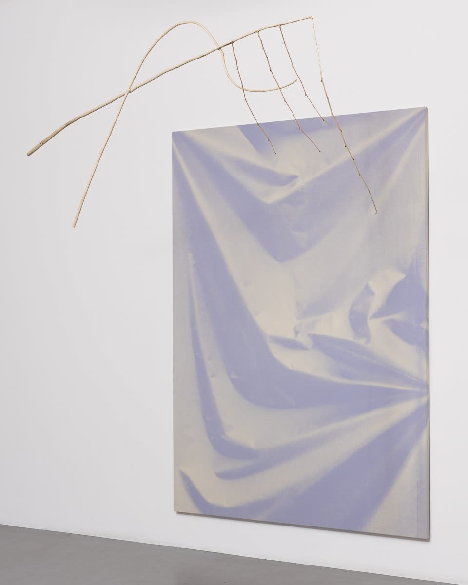 Ulla von Brandenburg, Folds and Branch, 2015