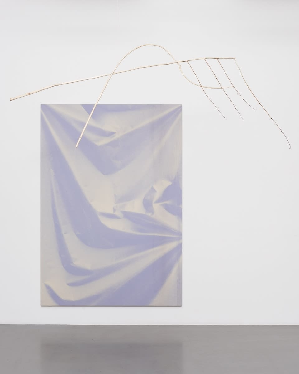 Ulla von Brandenburg, Folds and Branch, 2015