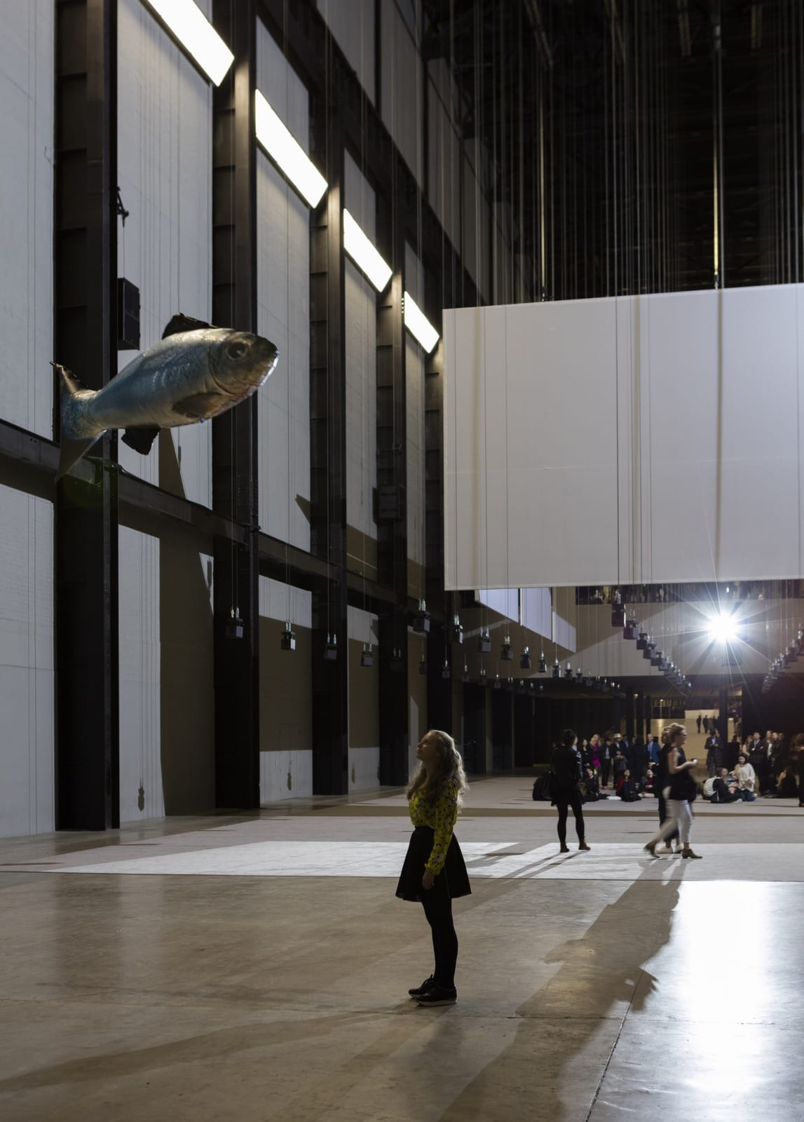 Philippe Parreno, My Room is Another Fish Bowl, 2016