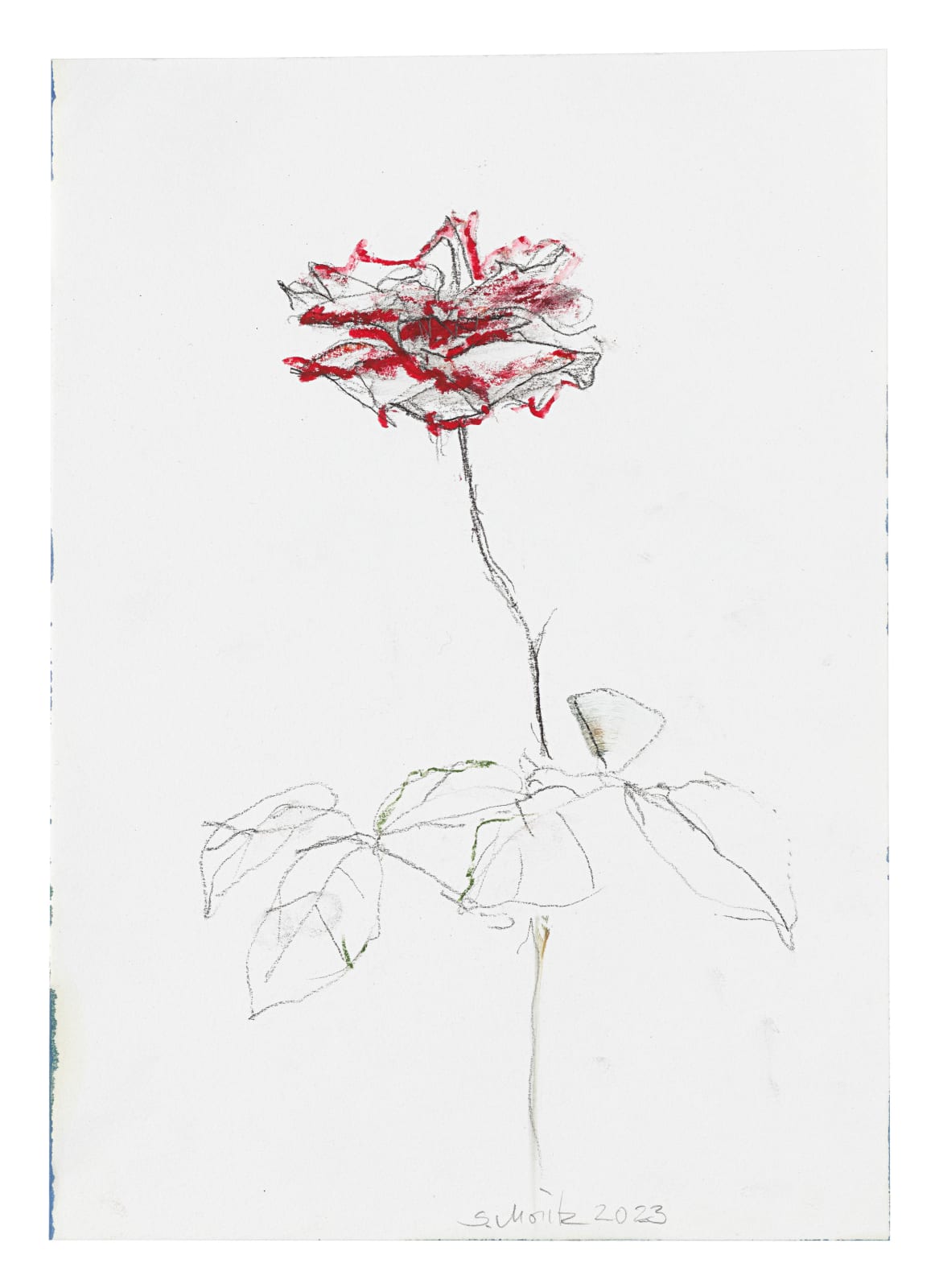 Sabine Moritz, Rose 53, 2023