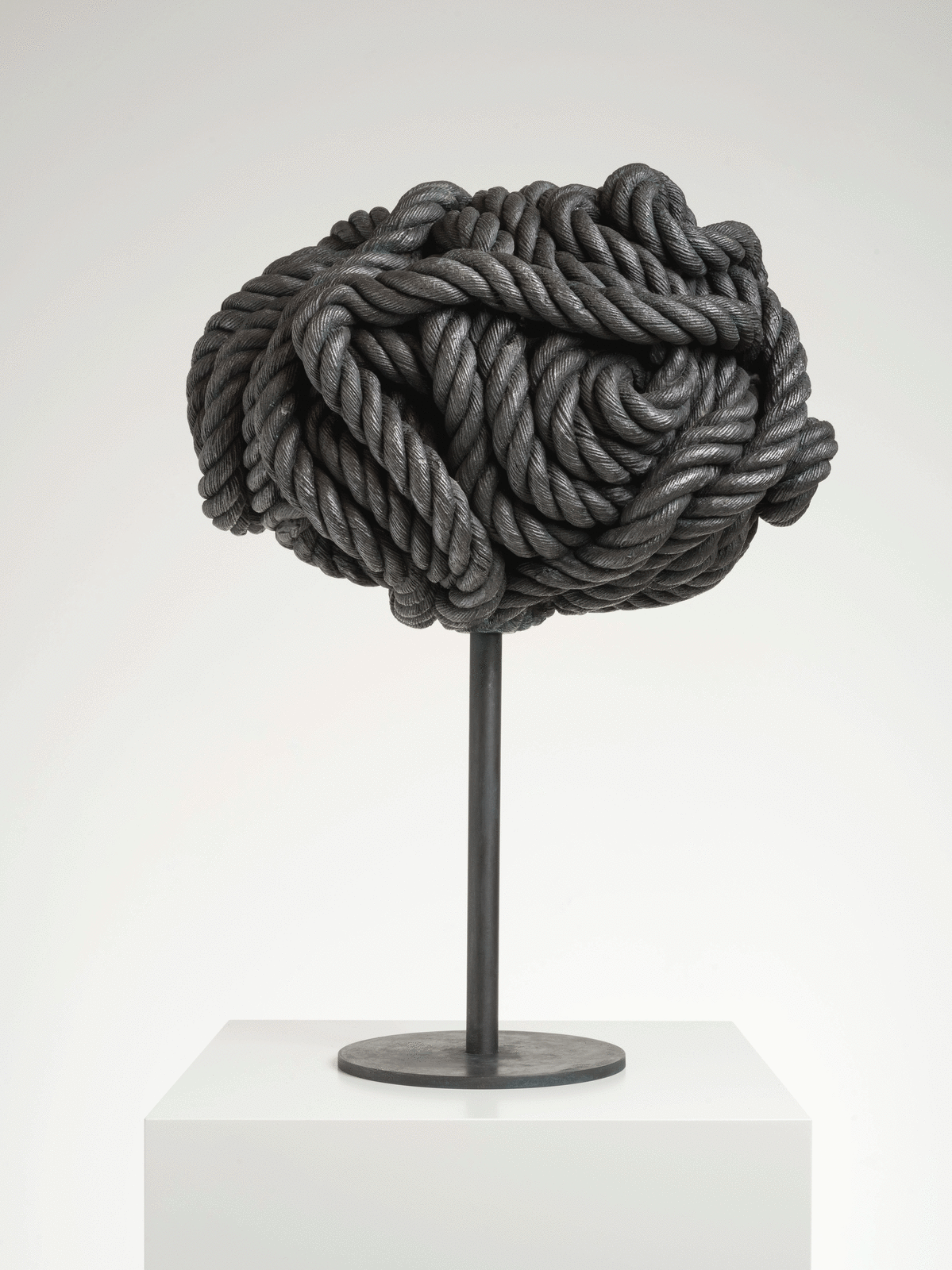 MICHAEL SAILSTORFER, BRAIN Q, 2019