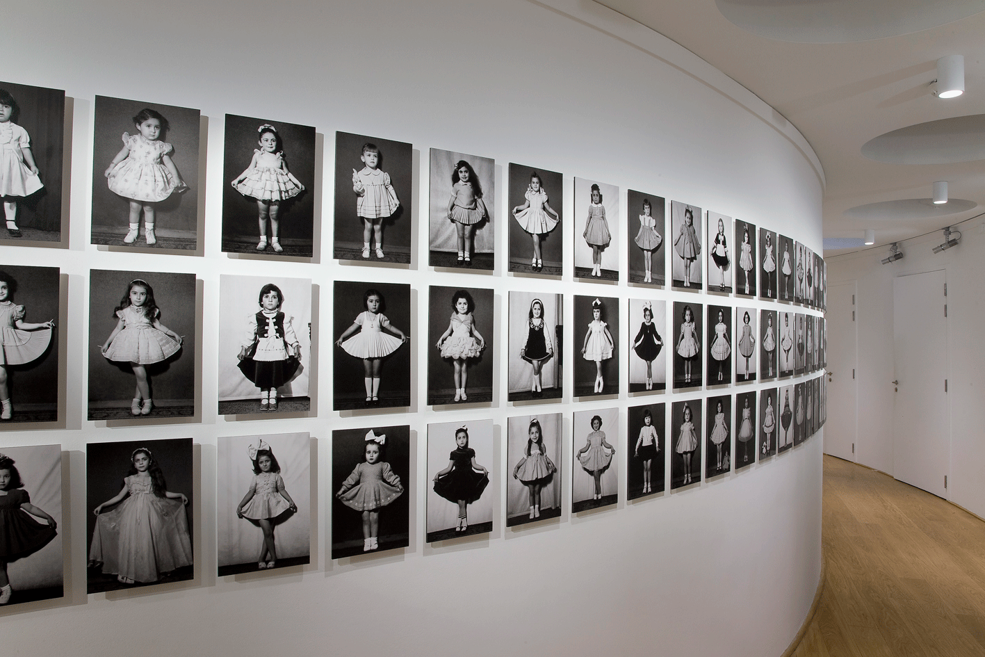 TAYFUN SERTTAŞ, Butterfly Collection, 2012