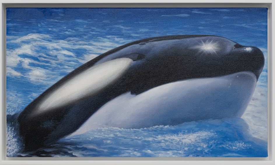 BORA AKINCITÜRK, Tilikum, 2024