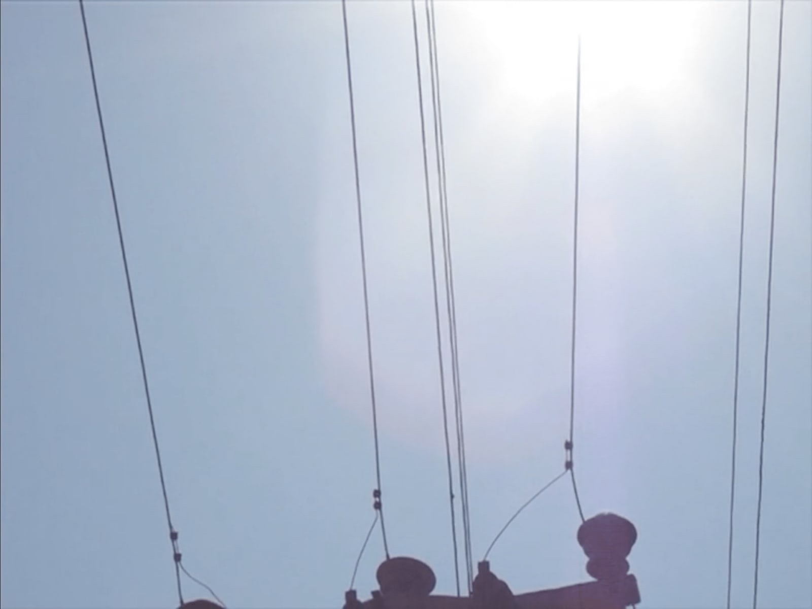 ALİ EMİR TAPAN, Almost Flower, 2010