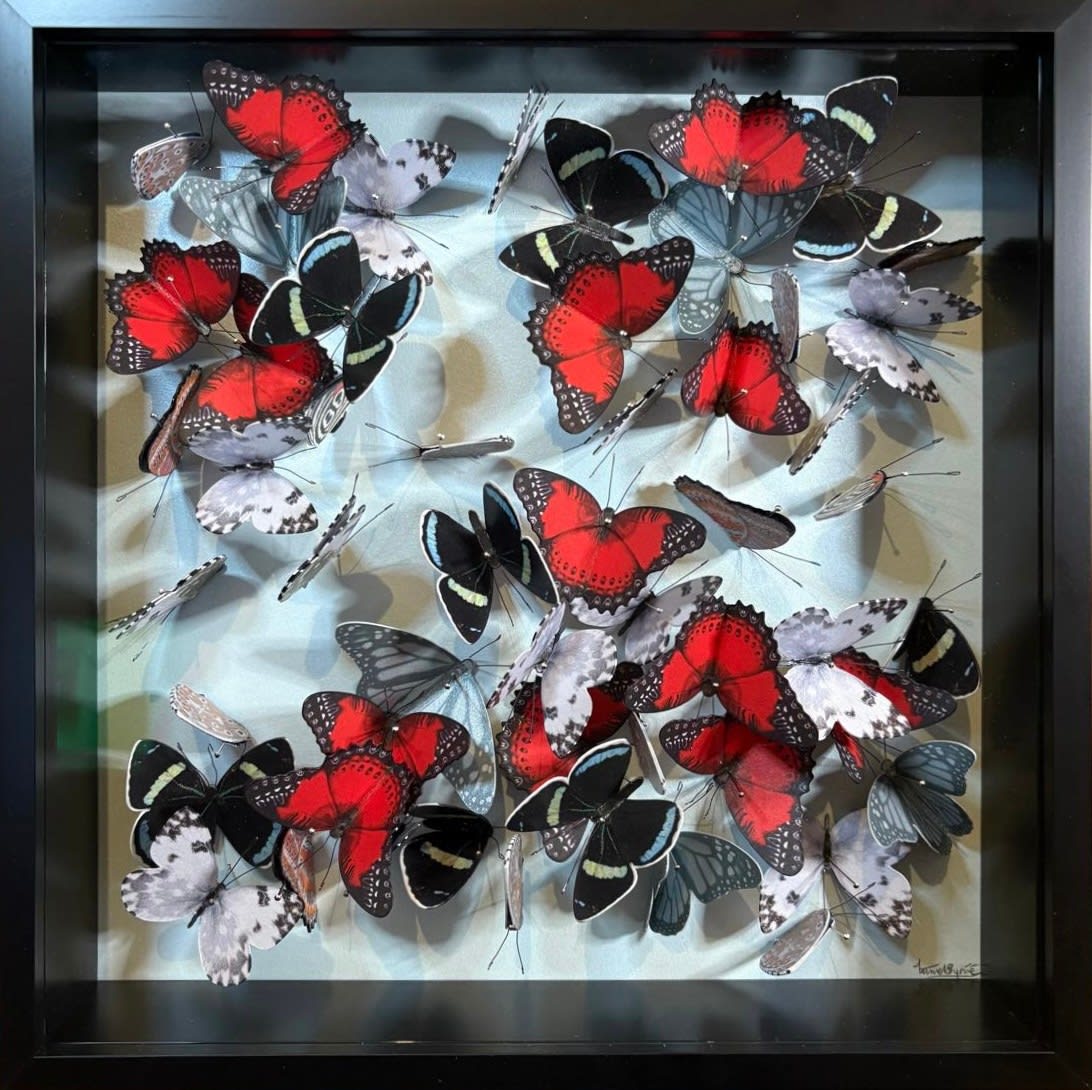 Daniel Byrne, Flutter in Red I, 2025