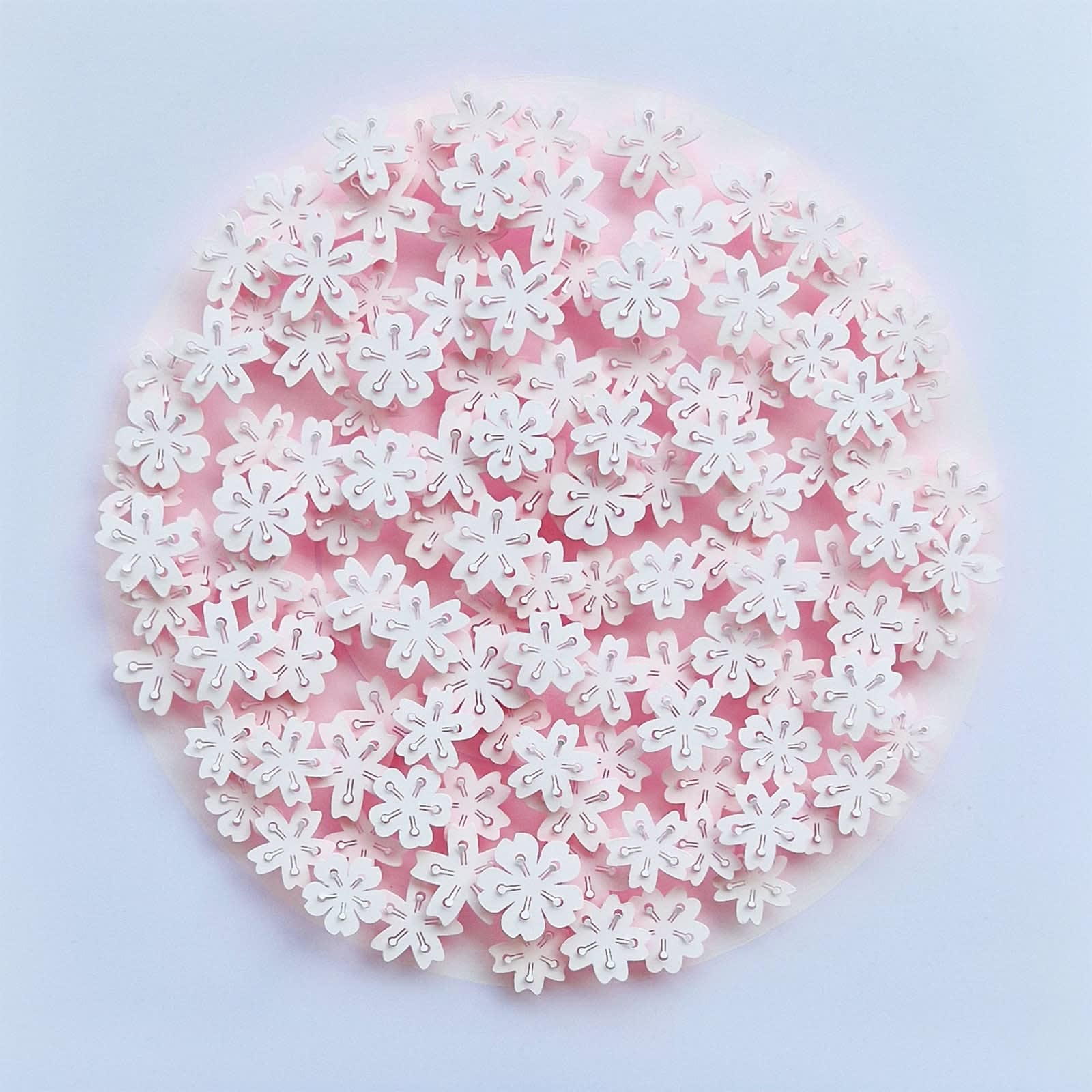 Graham Gosling, Kyujutsu Sakura 118 YA