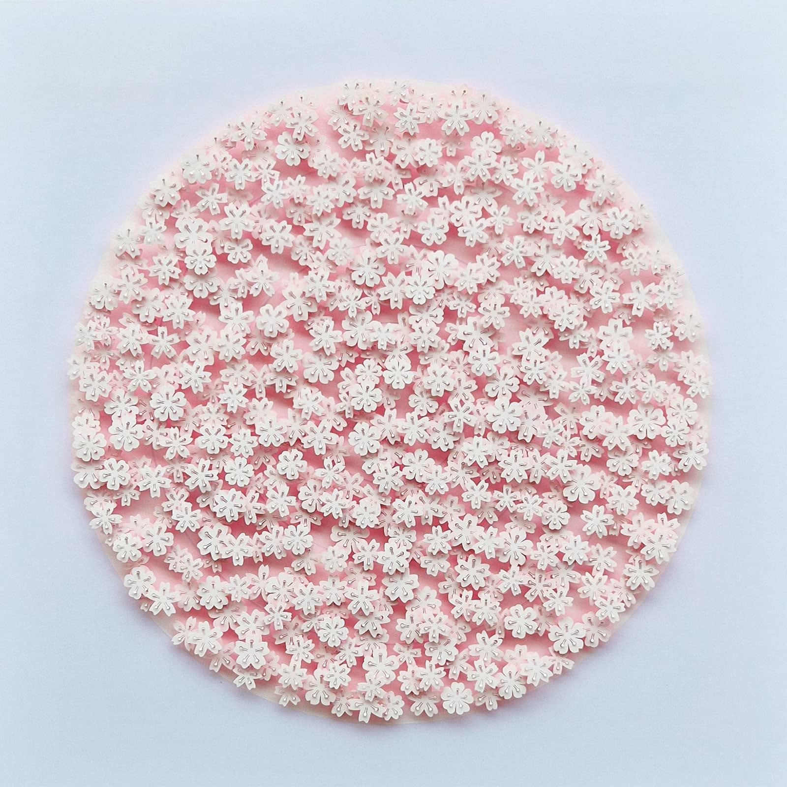 Graham Gosling, Kyujutsu Sakura 462 YA