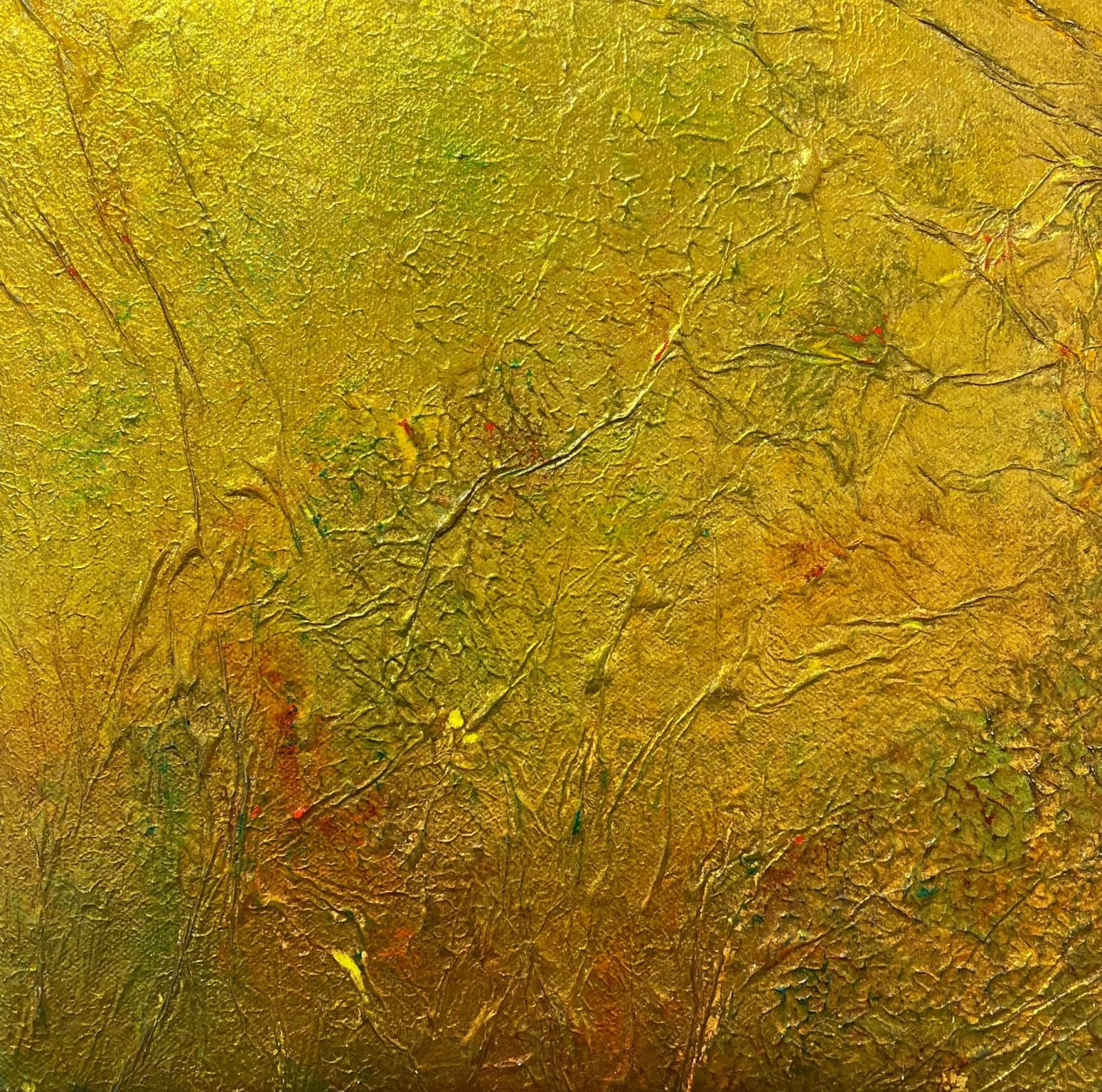 Ian Lawrence, Currency, 2024