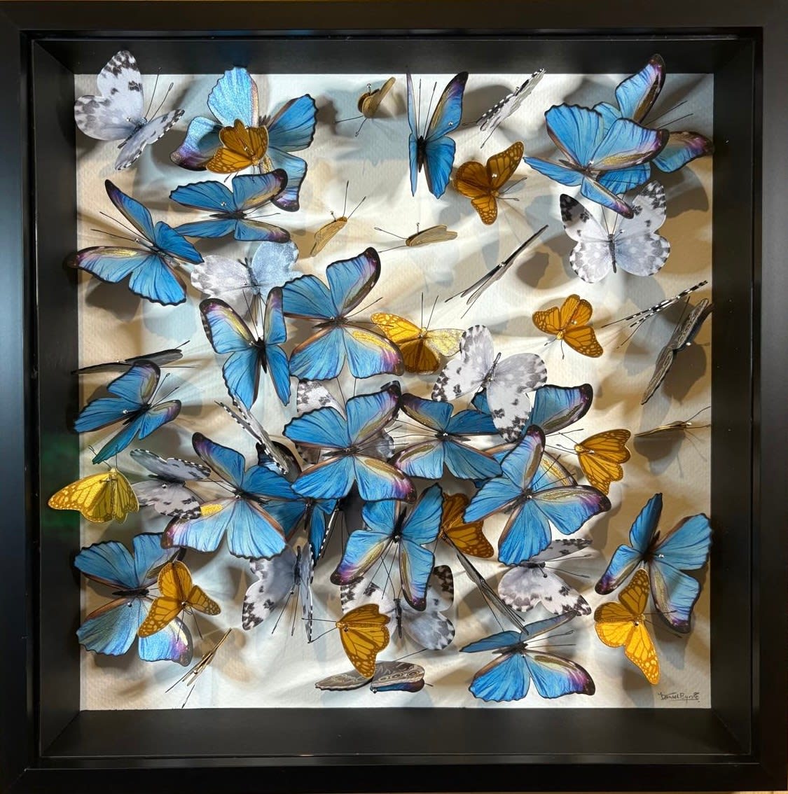 Daniel Byrne, Flutter in Blue IV, 2025