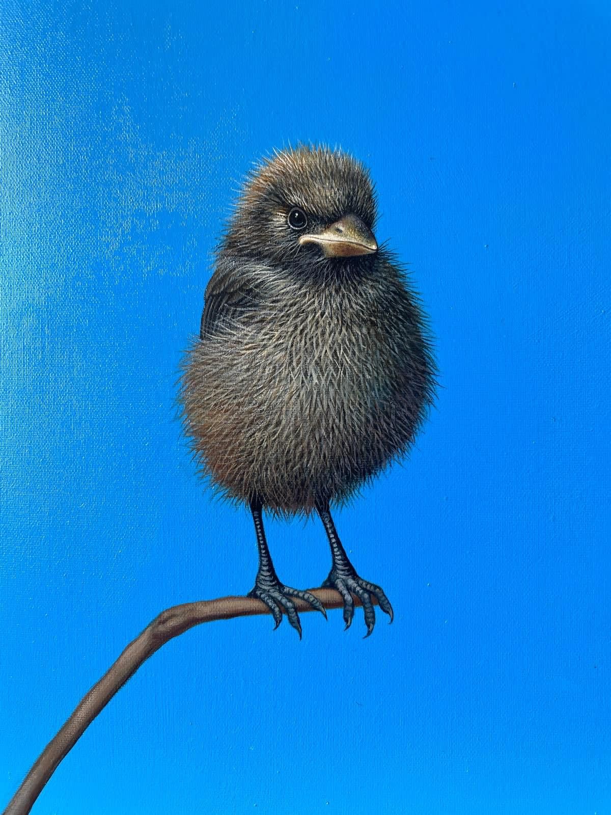 Lilia Mazurkevich, Felix