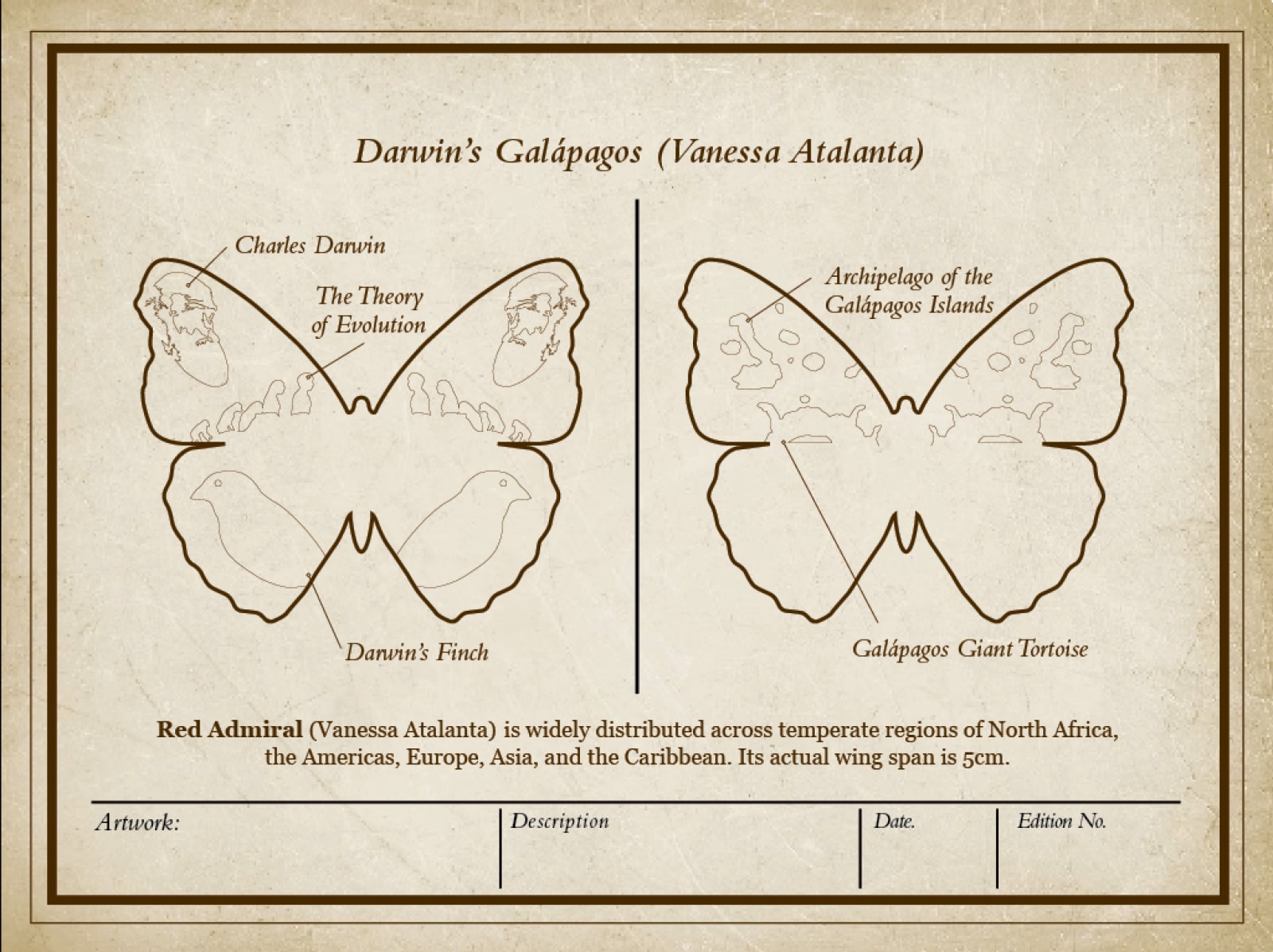 Daniel Byrne, Darwin's Galápogos (Vanessa Atalanta), 2025