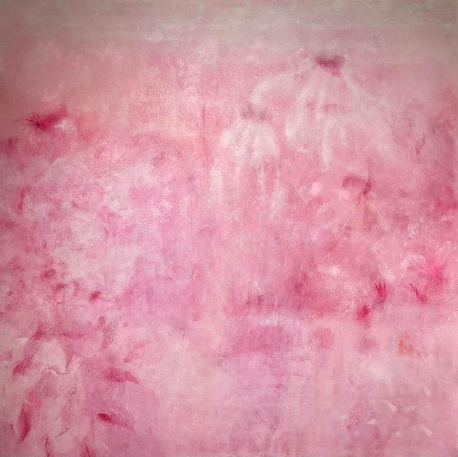 Amanda Blunden, Fairy Rockets
