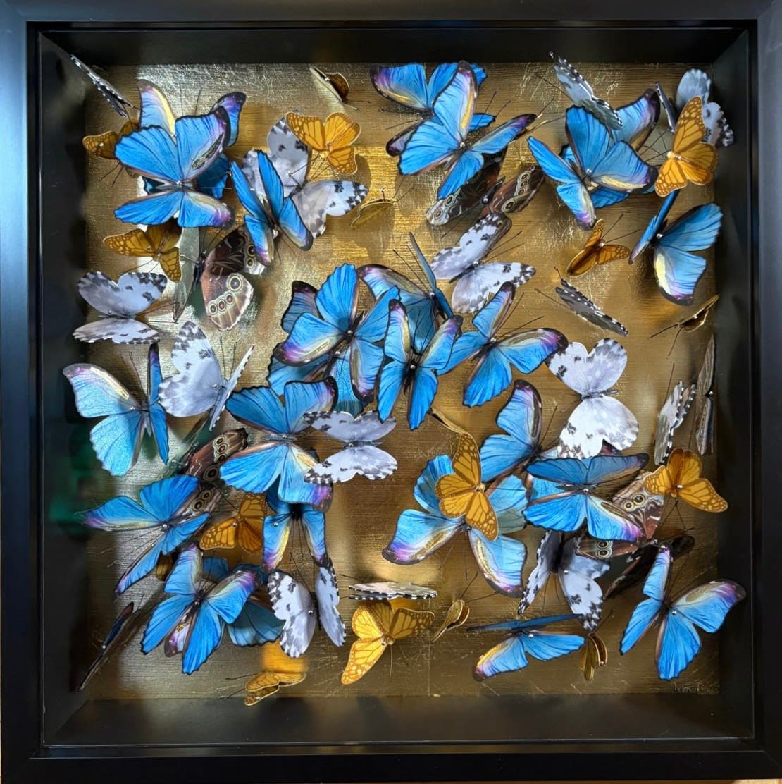 Daniel Byrne, Flutter on Gold I, 2025