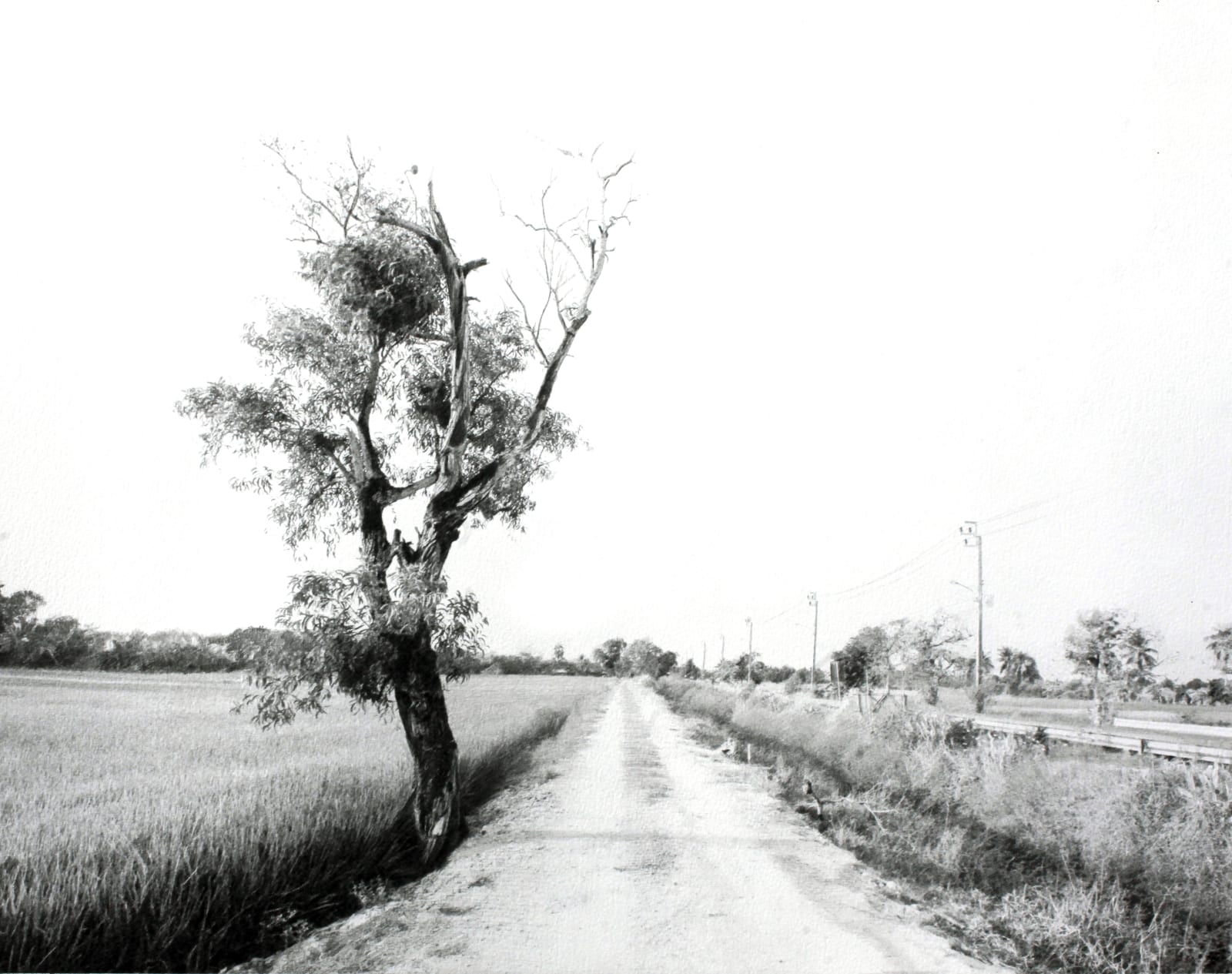 Paul Cadden, The Road