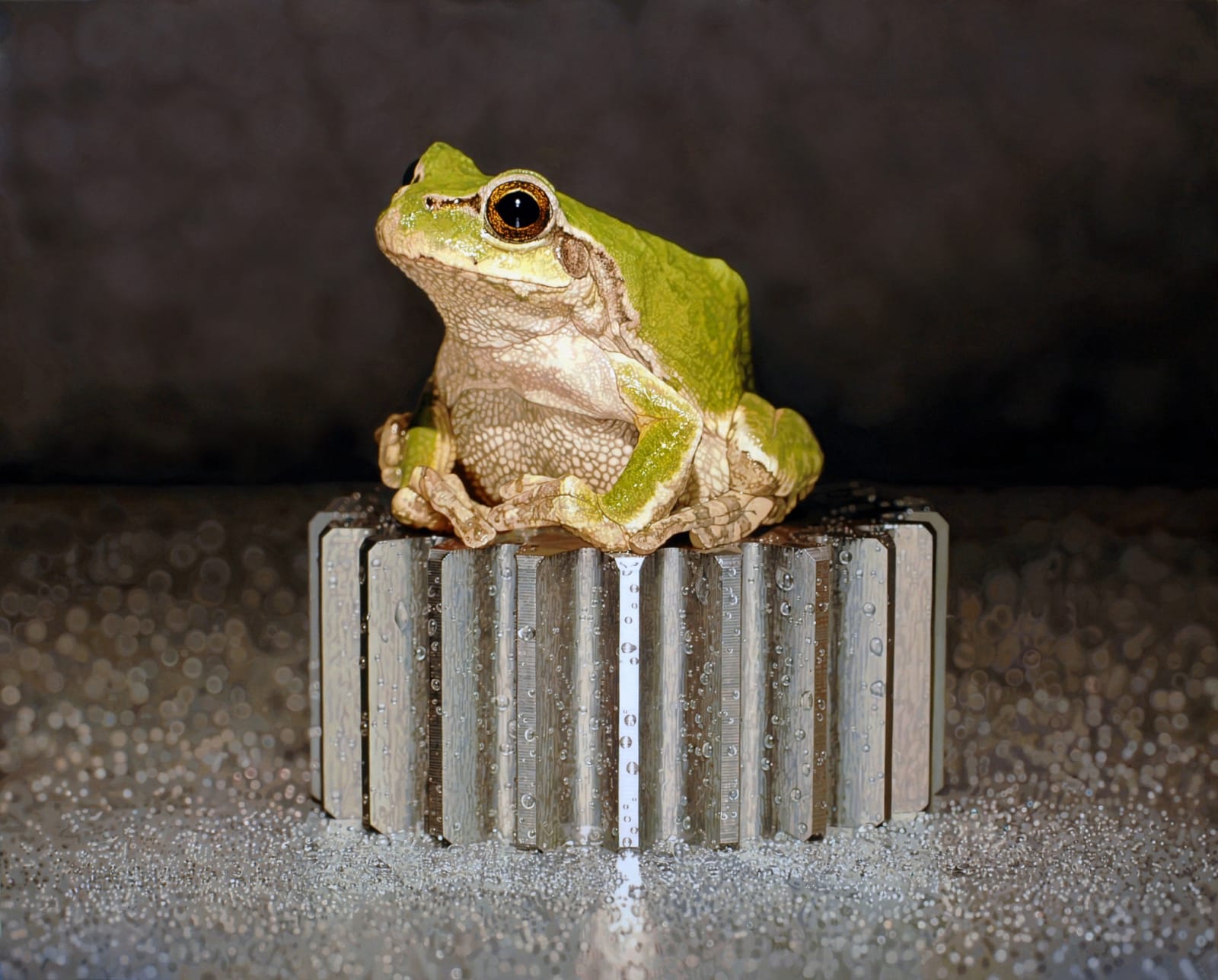 Young-sung Kim, [Nothing. Life. Object]