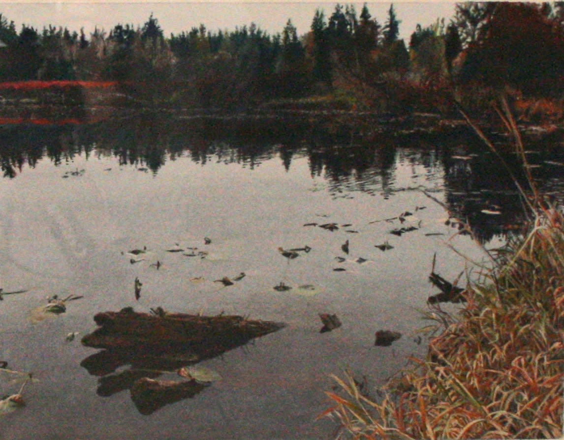 James Van Patten, Back At Blueberry Lake