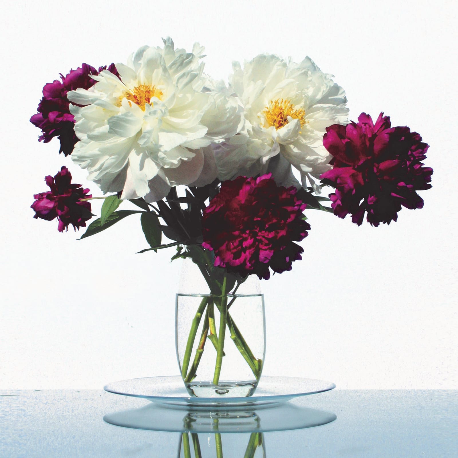 Glen Semple, Another Plate of Peonies, 2018