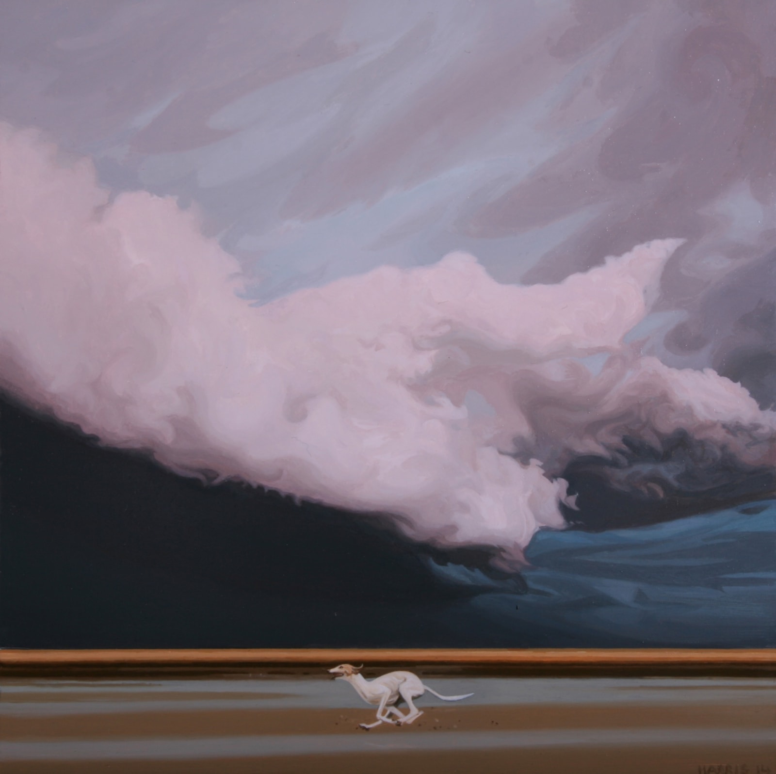 Philip Harris, Storm Dog I