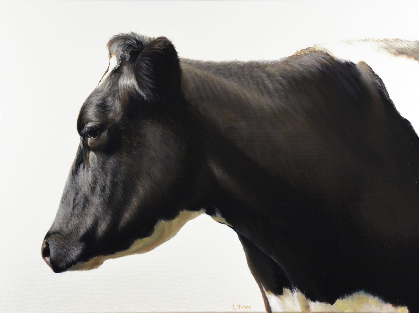 Alexandra Klimas, Trudeke the Cow