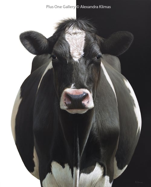 Alexandra Klimas, Olivia the Cow, 2018