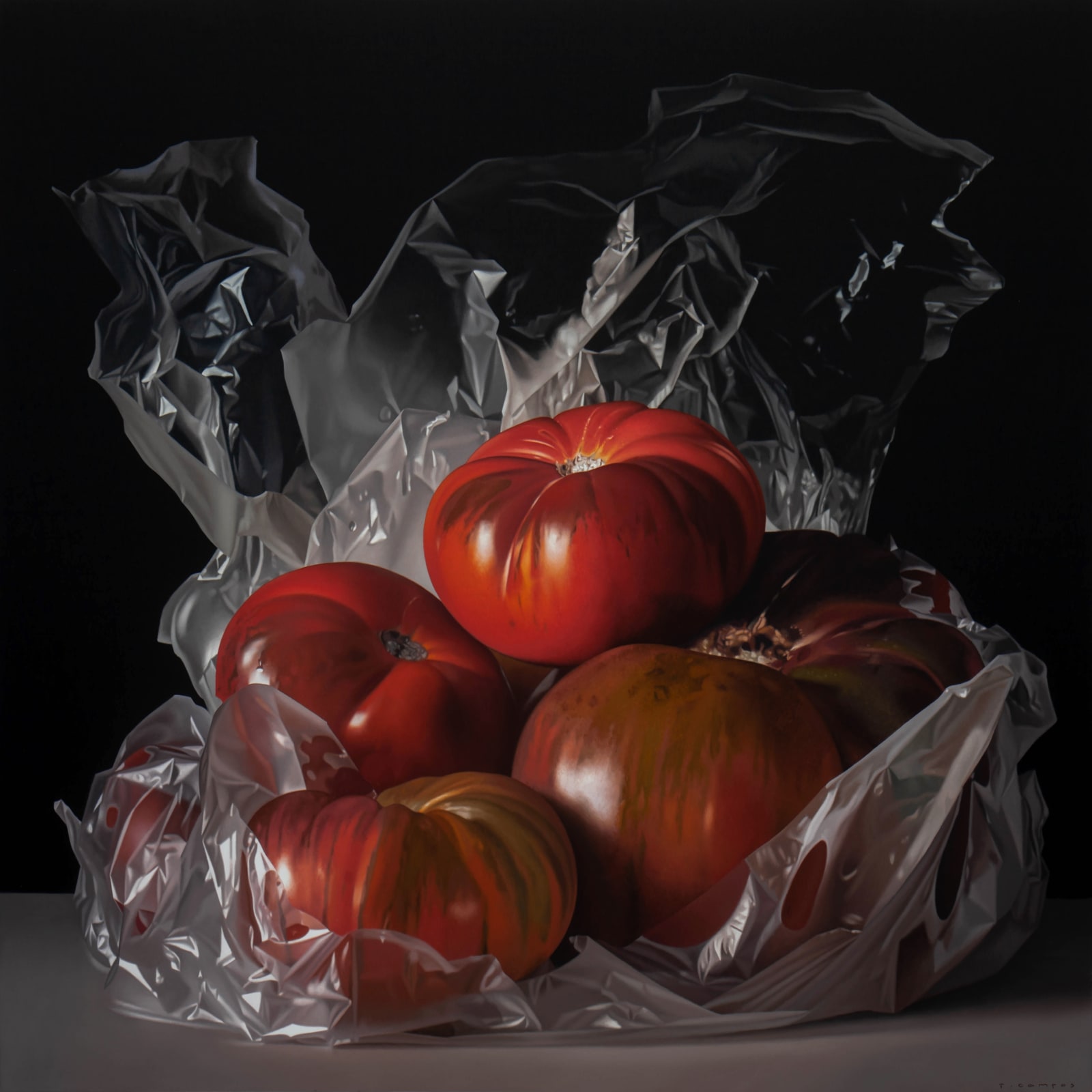 Pedro Campos, Tomatoes