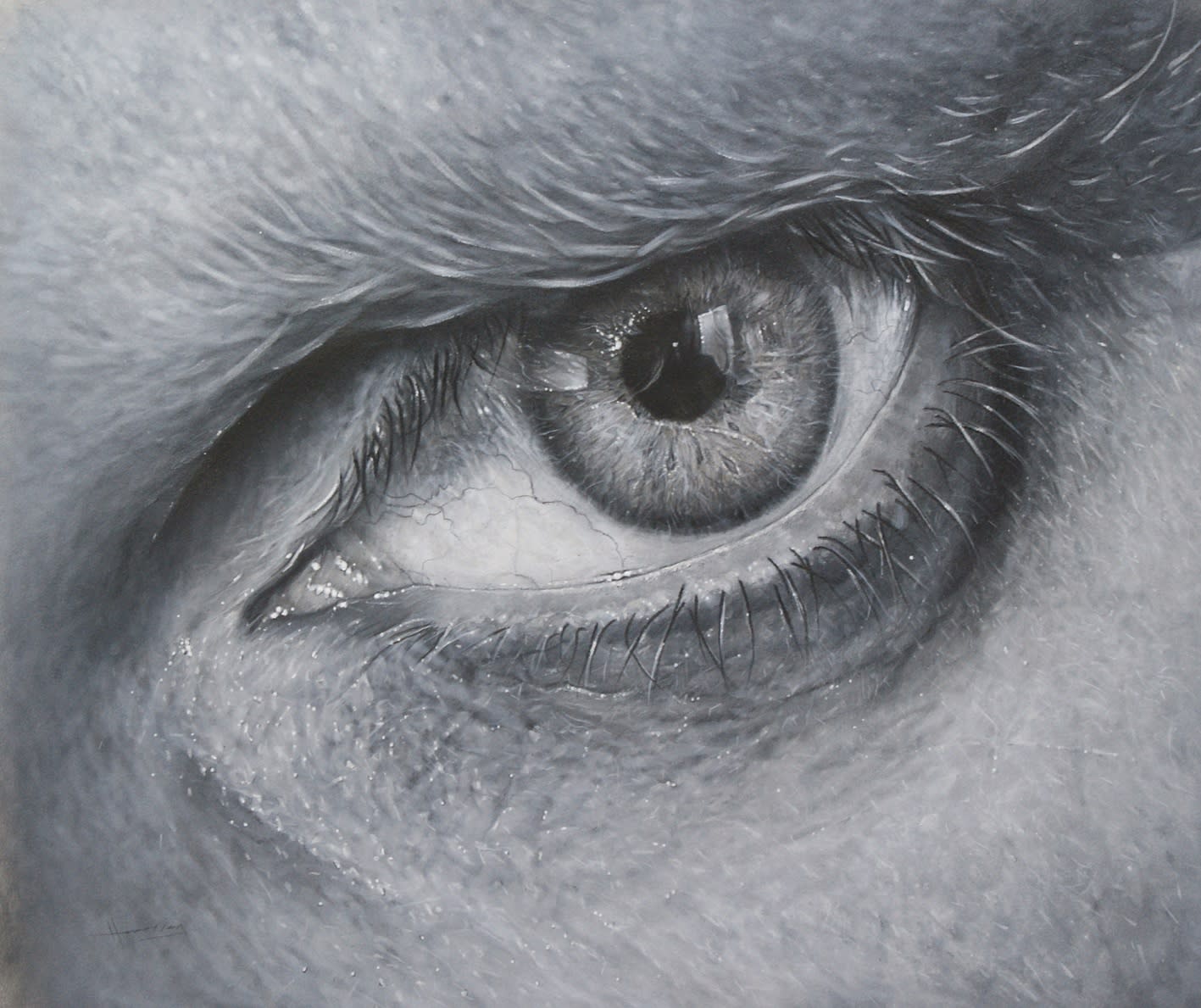 Simon Hennessey, The Artists Eye