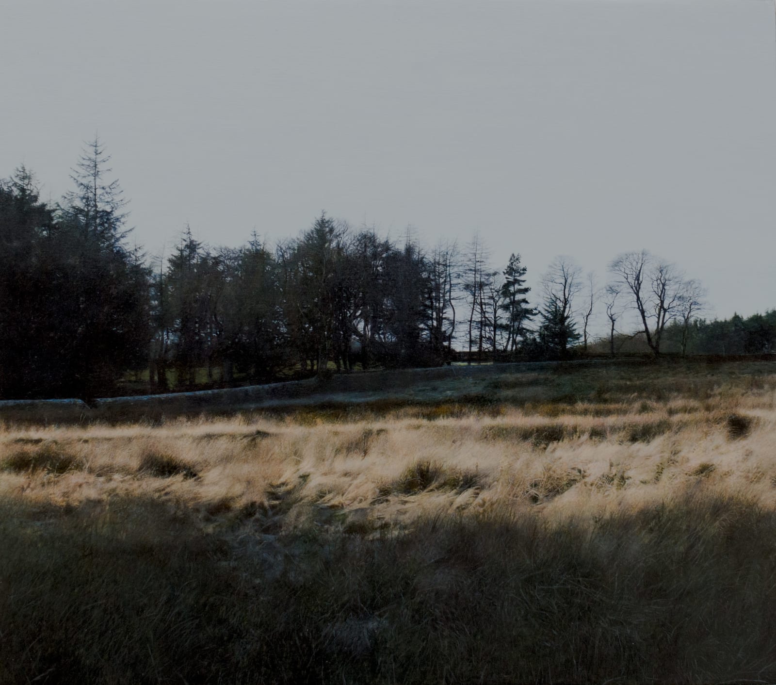 Michael Gaskell, Owl Light