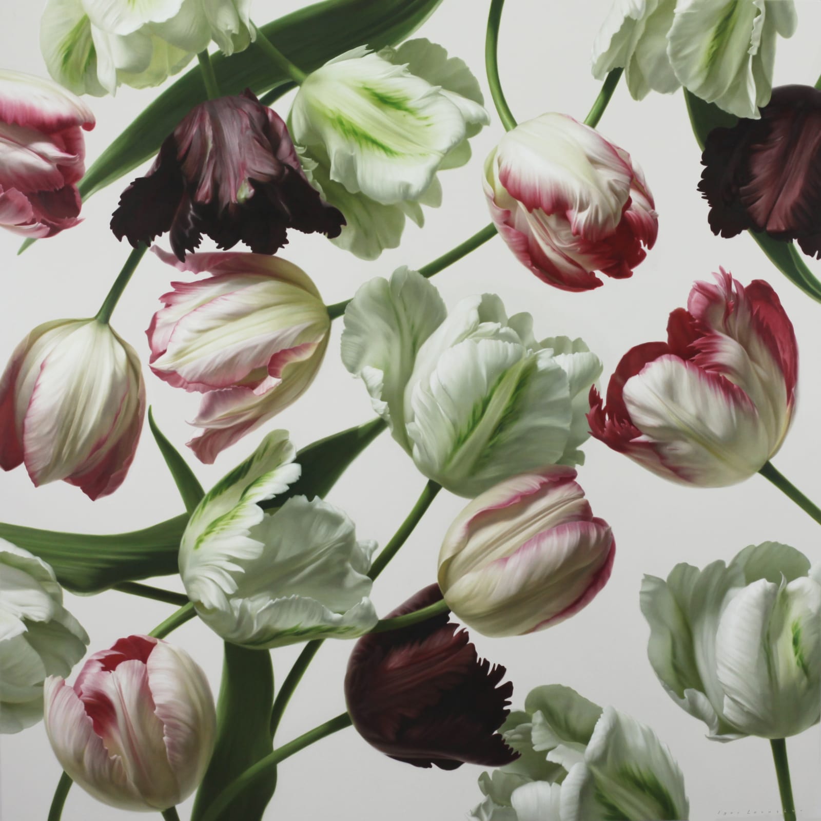 Igor Levashov, Parrot Tulips II
