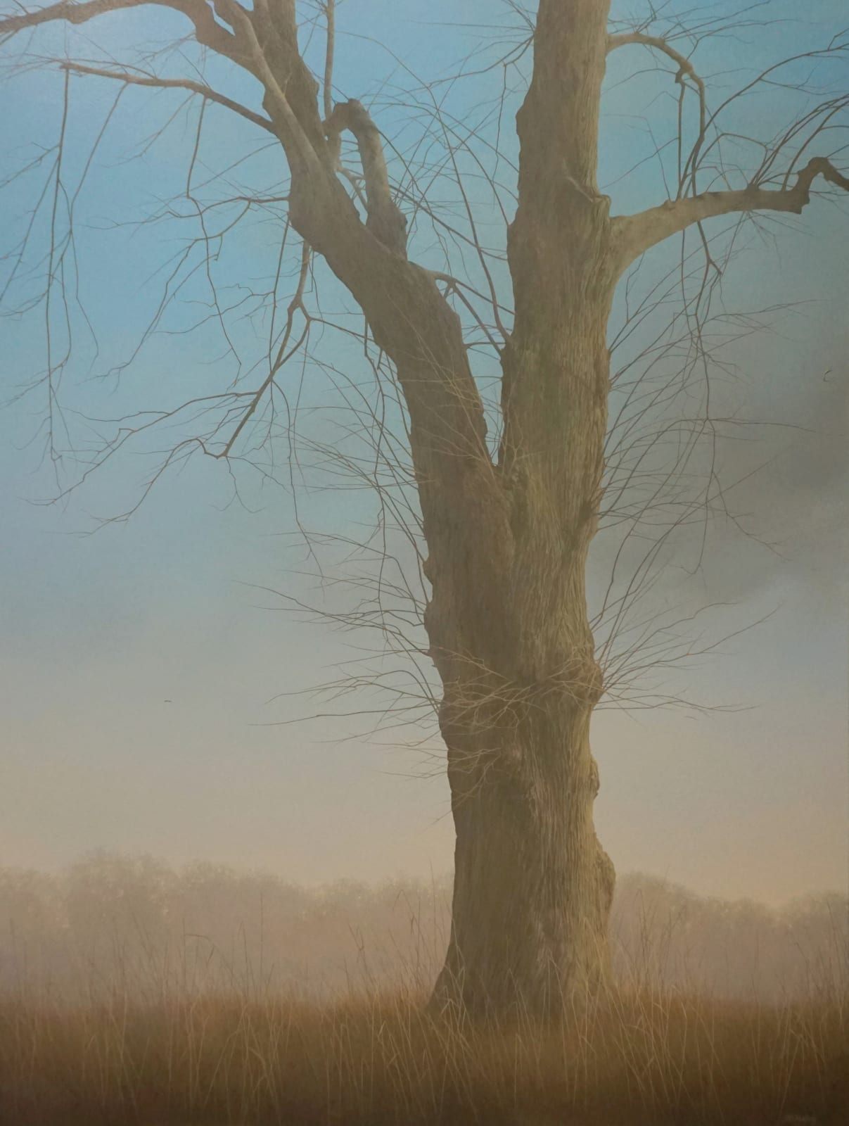 Johan Abeling, Tree I