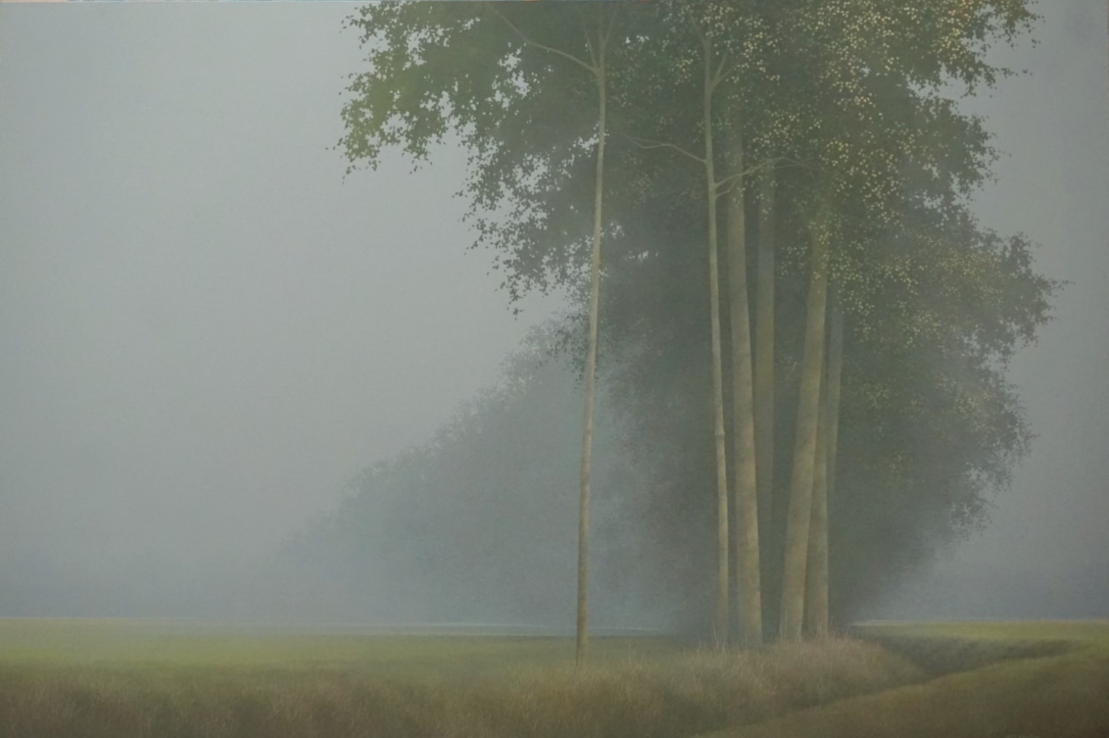 Johan Abeling, Haze
